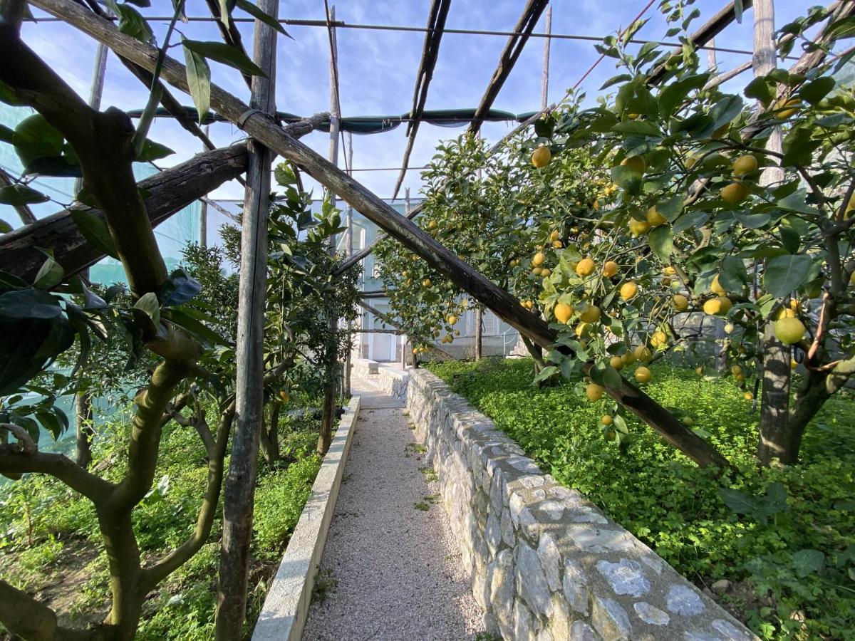 "Il Fienile Di Zia Teresa" Villa Massa Lubrense Exterior photo